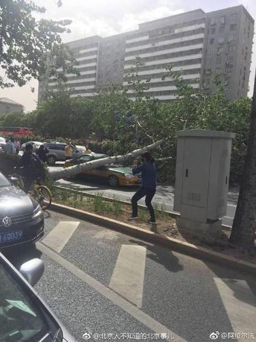 北京海淀一路人被大風(fēng)刮落的墜物砸中頭部身亡