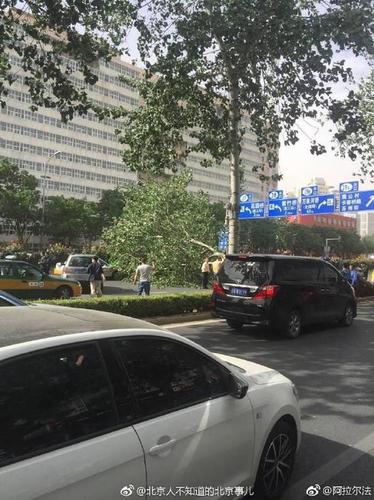 北京海淀一路人被大風(fēng)刮落的墜物砸中頭部身亡