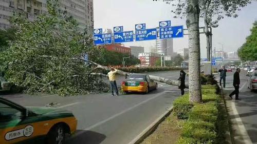 北京海淀一路人被大風(fēng)刮落的墜物砸中頭部身亡