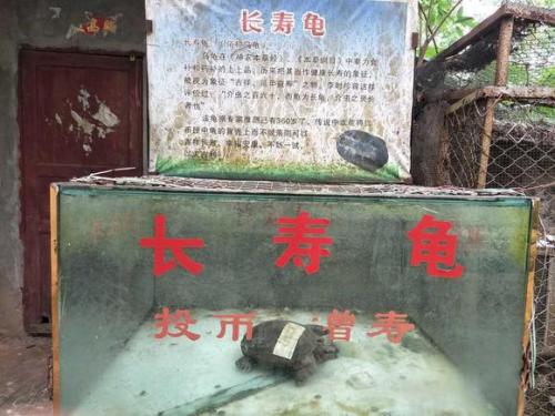 ?？趧游飯@成煉獄