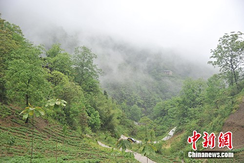 點(diǎn)擊進(jìn)入下一頁(yè)