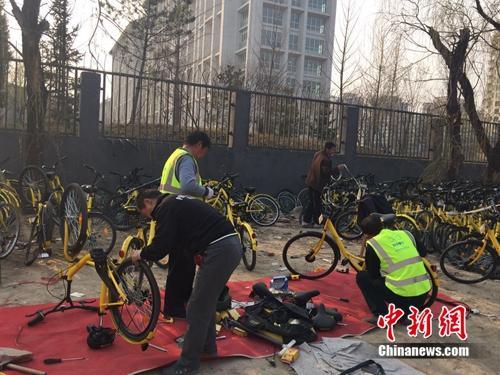 共享單車帶“火”修車師傅，圖為在北京某個共享單車維修點(diǎn)，修車師傅正在工作。中新網(wǎng) 吳濤 攝