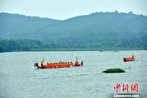 資料圖：江南水鄉(xiāng)端午節(jié)前龍舟“發(fā)船” 祈風調雨順。龍舟在湖中辟波斬浪。　萬朝暉 攝