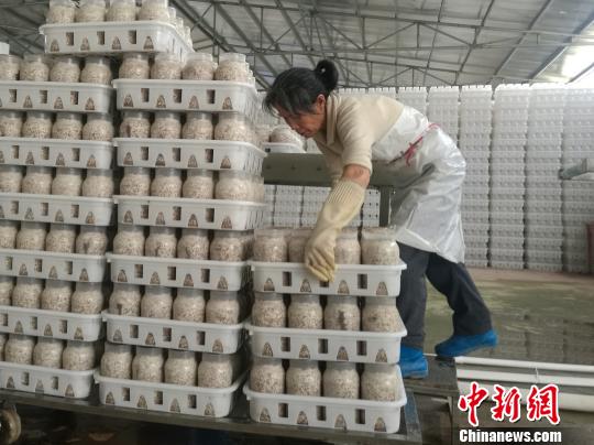 探訪贛南新型扶貧基地，休閑農(nóng)業(yè)成脫貧致富“金鑰匙”?！√K路程 攝