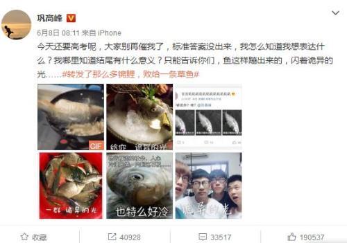 高考題“一條草魚(yú)”引爭(zhēng)議媒體：作者不會(huì)可以理解