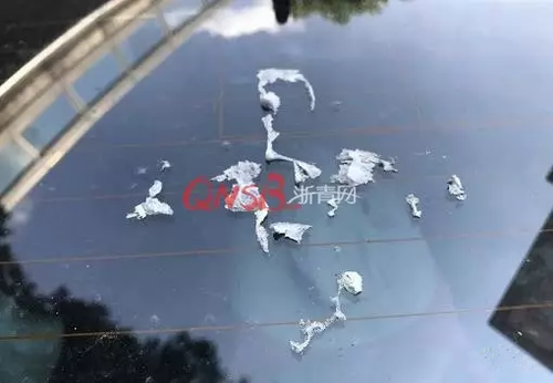 停車難！女子小區(qū)停車被保安貼單子大罵：不要臉