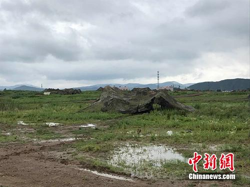 突擊車隱蔽偽裝。張曦 攝