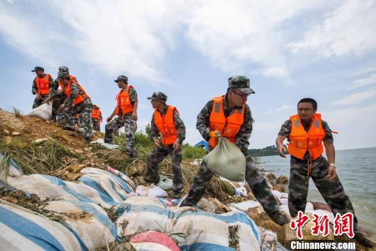 資料圖片，民兵應急分隊冒著酷熱進行堤壩加固?！「到ū?攝