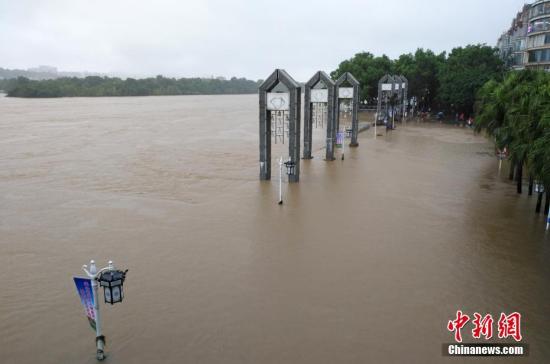受新一輪連續(xù)強降雨影響，8月15日2時10分，漓江桂林水文站出現(xiàn)147.51米洪峰水位，超警戒水位1.51米，為今年最大洪水。當天漓江旅游船舶、排筏全線封航。 趙琳露 攝