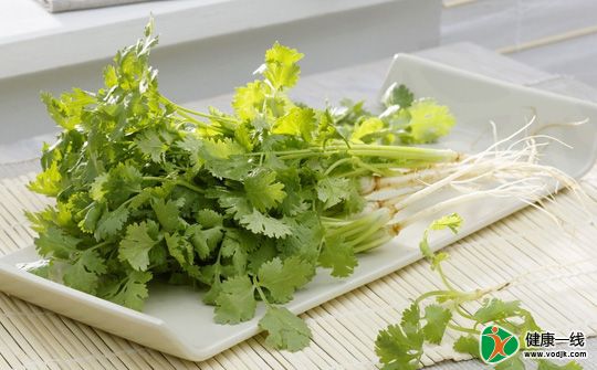 愛(ài)感冒的人最好別吃香菜！