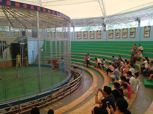 廣州動物園取消歷時24年馬戲表演 馬戲團(tuán)不肯搬