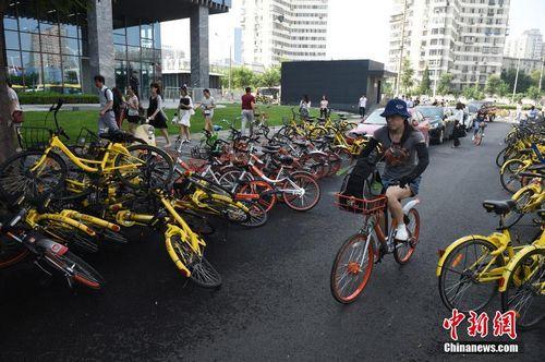 8月3日，北京街頭的共享單車。<a target='_blank' href='http://www.chinanews.com/'>中新社</a>記者 侯宇 攝