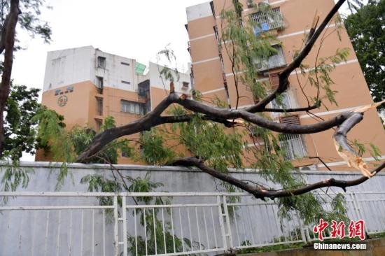 臺風(fēng)資料圖。<a target='_blank' href='http://www.chinanews.com/'>中新社</a>記者 陳文 攝