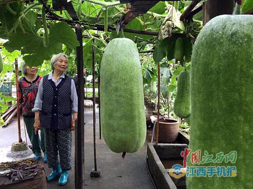 點(diǎn)擊進(jìn)入下一頁(yè)