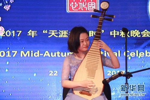 中國駐尼日利亞使館工作人員表演琵琶獨(dú)奏。新華網(wǎng)發(fā)