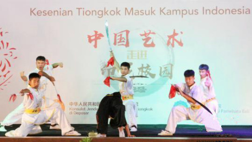 武術(shù)表演。