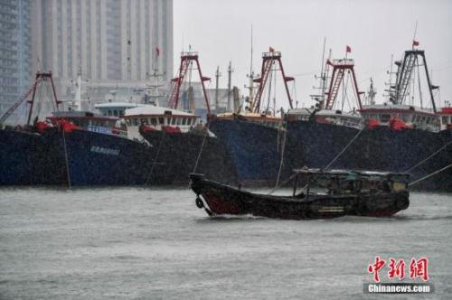 資料圖：臺(tái)風(fēng)來(lái)襲，漁船回港避風(fēng)。 <a target='_blank' href='http://www.chinanews.com/'>中新社</a>記者 駱云飛 攝