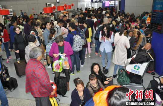 圖為旅客排隊值機?！瞵B 攝