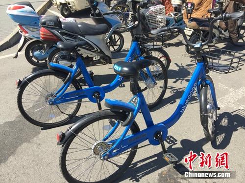 資料圖：不斷有新共享單車平臺(tái)進(jìn)入市場(chǎng)。<a target='_blank' href='http://www.chinanews.com/' >中新網(wǎng)</a> 吳濤 攝