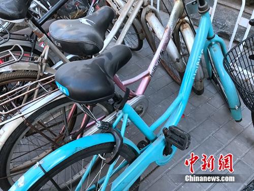 共享單車車座上落滿灰塵。<a target='_blank' href='http://www.chinanews.com/' >中新網(wǎng)</a> 吳濤 攝