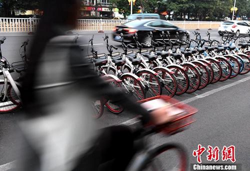 資料圖：市民騎著共享單車出行。<a target='_blank' href='http://www.chinanews.com/'>中新社</a>記者 張斌 攝