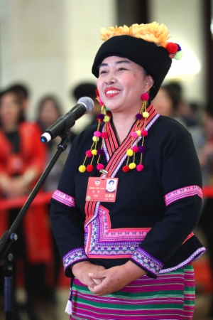 （10）全國(guó)政協(xié)委員接受采訪