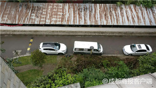小區(qū)50多棵樹(shù)被移栽業(yè)主卻不知情 城管局:屬違規(guī)