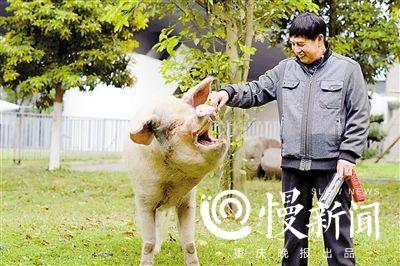 點(diǎn)擊進(jìn)入下一頁