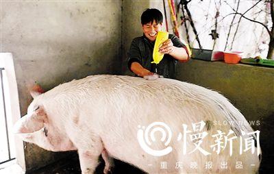 點(diǎn)擊進(jìn)入下一頁