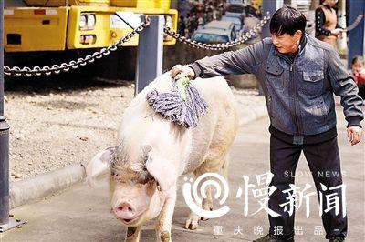 點(diǎn)擊進(jìn)入下一頁