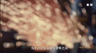 2007年，當(dāng)一期工程2號(hào)機(jī)組進(jìn)行技術(shù)調(diào)式時(shí)，中國(guó)方面卻遇到了重大困難。