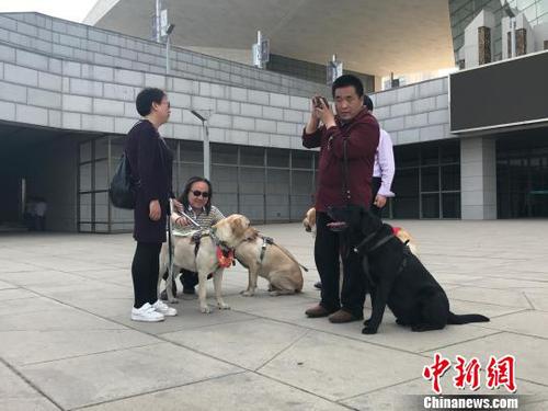 盲人與導(dǎo)盲犬在公共場所休息?！铎o 攝