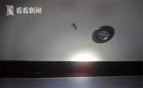 男子為滿足好奇 在酒店4個(gè)房間開房裝攝像頭偷窺