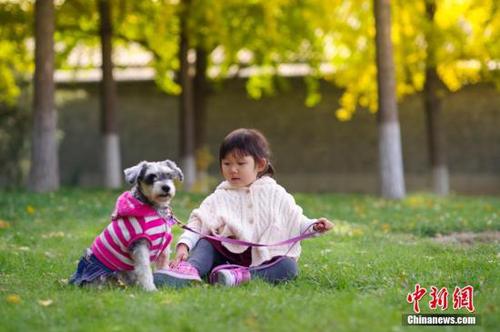 點(diǎn)擊進(jìn)入下一頁(yè)