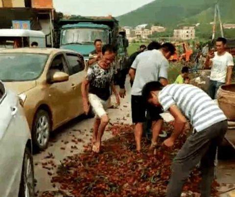 廣西荔枝滯銷5毛一斤沒(méi)人要 果農(nóng)一氣之下當(dāng)場(chǎng)踩爛