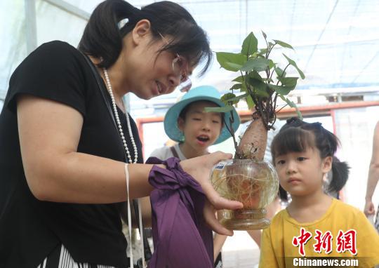 一游客母親捧著無(wú)土栽培地瓜盆景向孩子進(jìn)行農(nóng)業(yè)科普教育?！↑S水林 攝