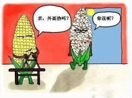 中暑為什么會死人？對中暑決不能掉以輕心！