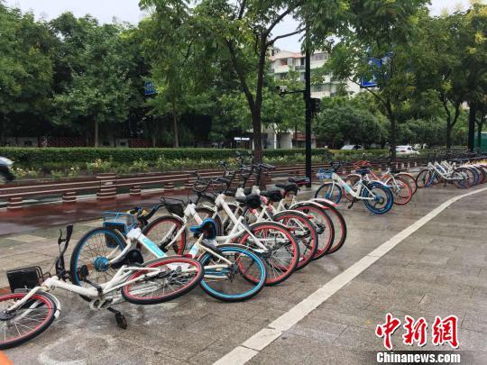 圖為：被臺風吹倒的共享單車?！″X晨菲 攝