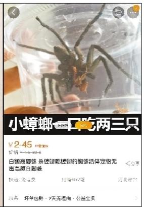 點擊進(jìn)入下一頁
