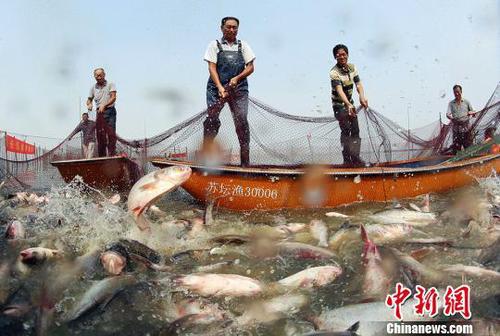 一大網(wǎng)下去撈大魚?！￡愋隆z