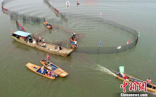 收攏大網(wǎng)?！￡愋隆z