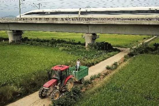 媒體：農(nóng)村土地市場(chǎng)再放開(kāi)些 也亂不起來(lái)