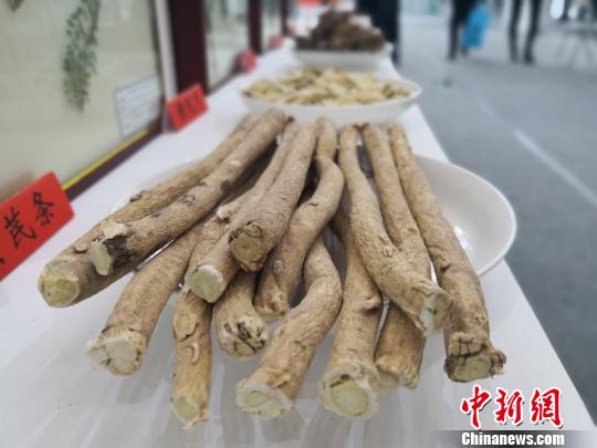 圖為在中國(甘肅)中醫(yī)藥產(chǎn)業(yè)博覽會上亮相的中藥材。　李亞龍 攝