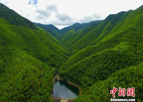 點擊進(jìn)入下一頁