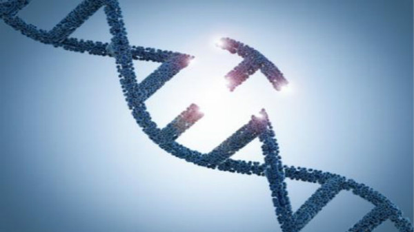 韓科學(xué)家評(píng)基因編輯嬰兒:避免成輿論造出的英雄