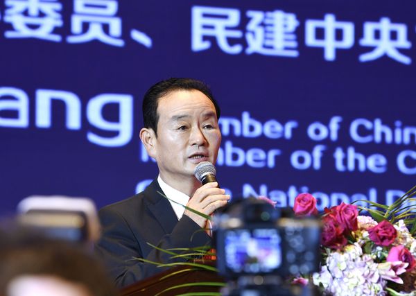 全國(guó)政協(xié)委員、民建中央常委馬國(guó)湘發(fā)言