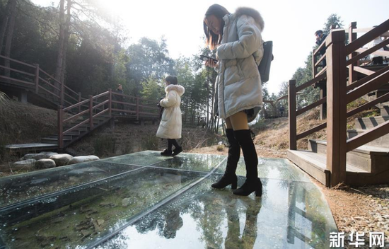 1月22日，游客在上虞區(qū)鳳凰山考古遺址公園參觀古窯址的青瓷殘片。