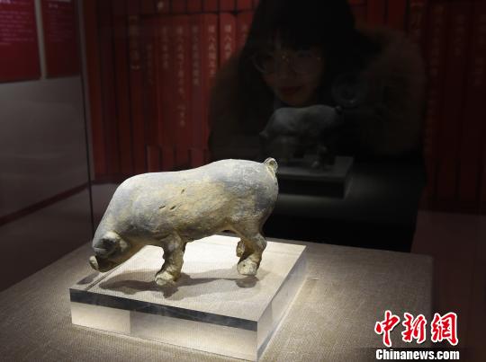 圖為《金豬賀歲》展覽，觀眾觀看展品?！≈芤?攝