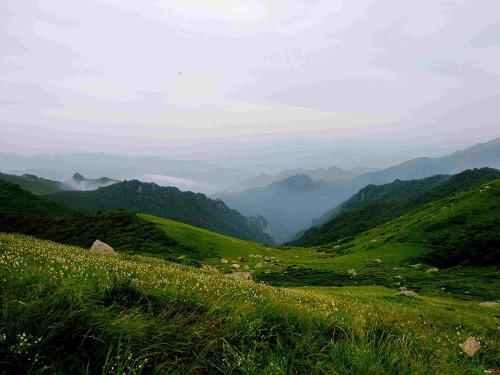 點擊進(jìn)入下一頁
