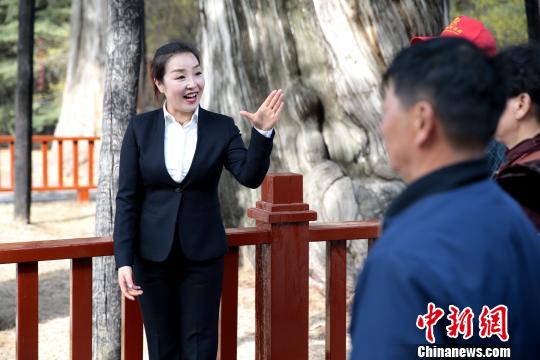 惠瓊在黃帝陵景區(qū)講解?！√镞M(jìn) 攝